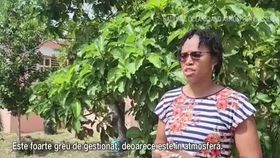 VIDEO Praful saharian afectează vacanțele. Oamenii au fost sfătuiți să evite expunerea la factorii din atmosferă